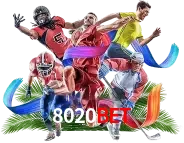 sport 8020bet