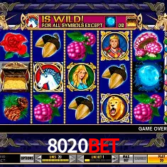 8020bet São Paulo - All Bonuses